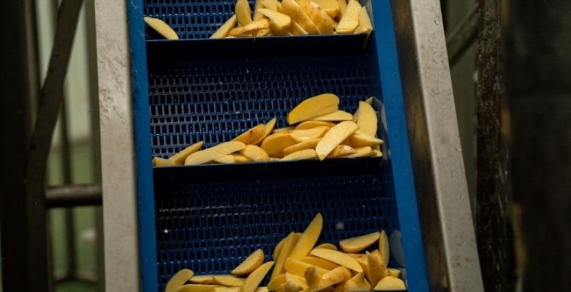 До 8 млн грн на розвиток: стартує нова хвиля грантових заявок для переробників