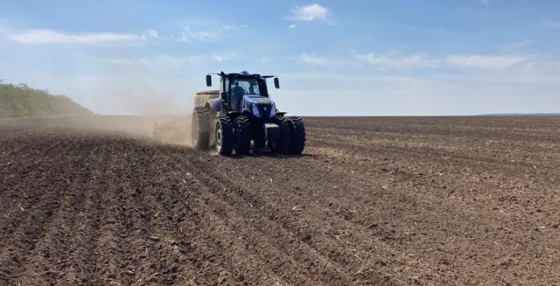 Господарство з Одещини через посухи відмовляється від кукурудзи та скорочує посіви соняшника