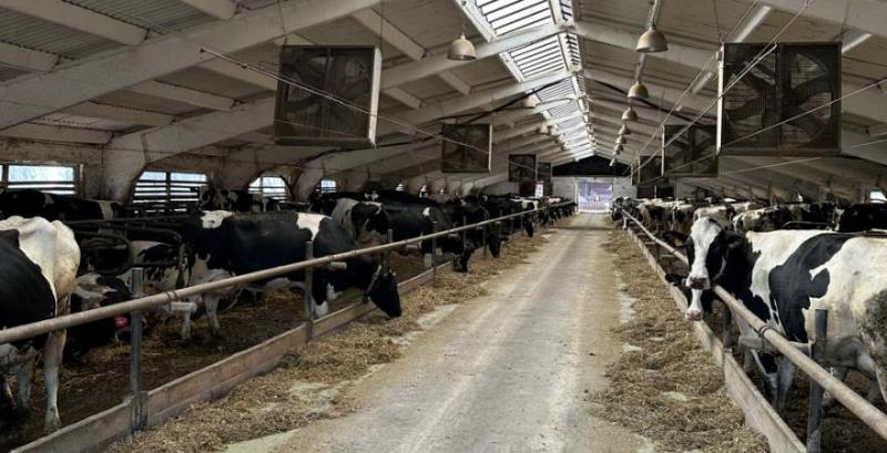 Багатогалузевість допомагає господарству вистояти в непрості часи — фермер зі Львівщини