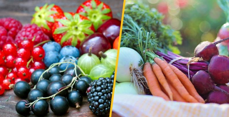 Для ягідників та овочівників запускають нову грантову програму