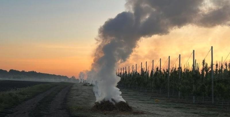 Популярні методи боротьби з приморозками не працюють на промислових садах — фермер