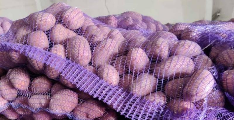 Виробники знижують ціни на картоплю Виробники знижують ціни на картоплю