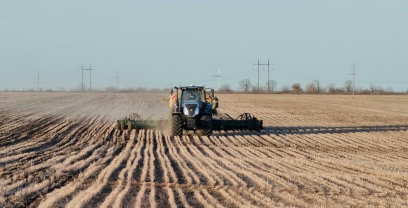 Агрофірма з Миколаївщини скорочує посіви традиційних зернових та олійних культур на користь нішевих