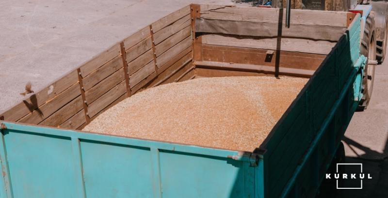 Трейдери призупинили закупівлі зерна на елеваторах через скандал із «Волиця-Агро»