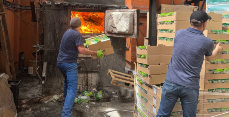 У трьох партіях імпортних вантажів зелені виявили карантинного шкідника У трьох партіях імпортних вантажів зелені виявили карантинного шкідника