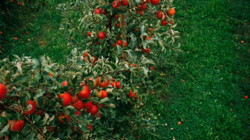 Ветеранів запрошують на агротури до успішних фермерських господарств