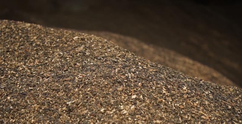 Внутрішні ціни на соняшник коригуються швидше, ніж експортні ціни на олію — брокери