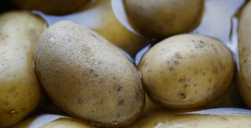 Виробники продовжують знижувати ціни на картоплю