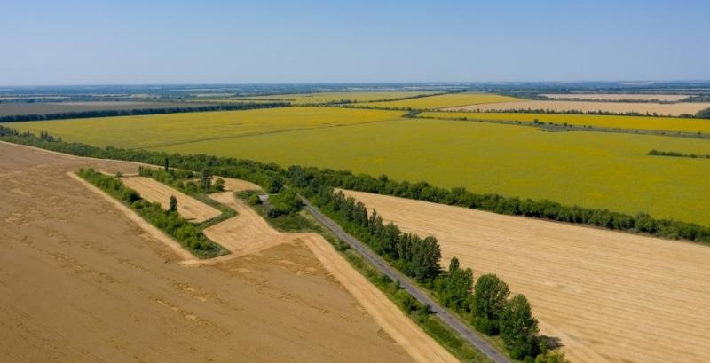 Держгеокадастр видав рекордну кількість витягів про НГО земель