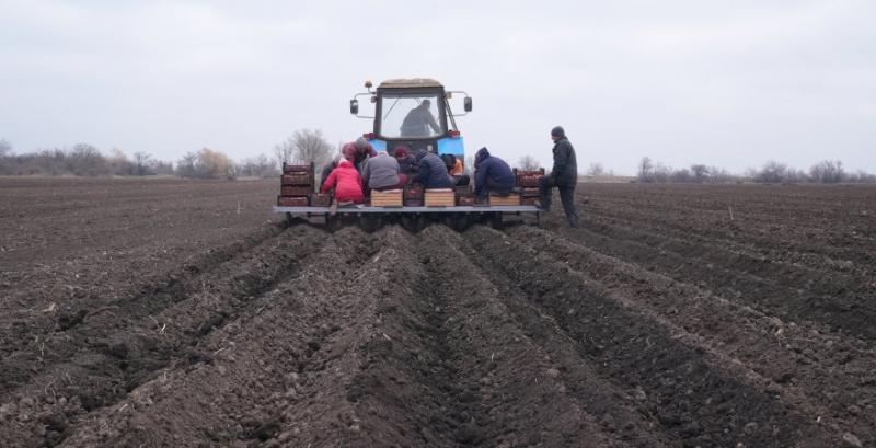 Фермер з Херсонщини планує збільшити площі під овочами Фермер з Херсонщини планує збільшити площі під овочами