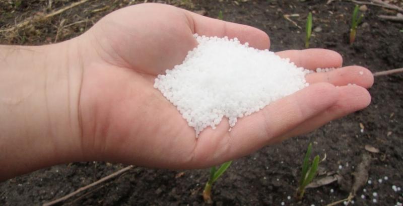 Фермерам рекомендують купувати добрива до осінньої посівної вже зараз