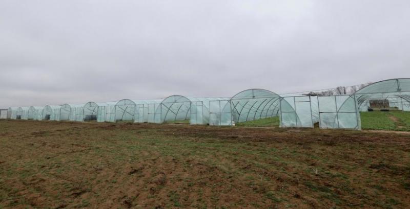 Переселенець з Херсонщини розвиває тепличний бізнес на Вінниччині