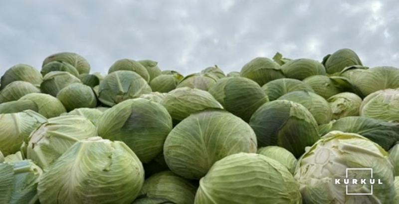 Ціни на капусту знижуються через погіршення якості