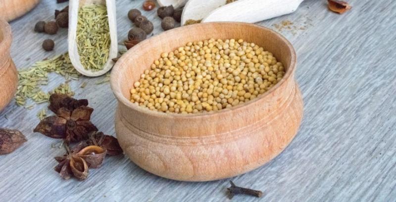 Фермери поділились досвідом вирощування гірчиці