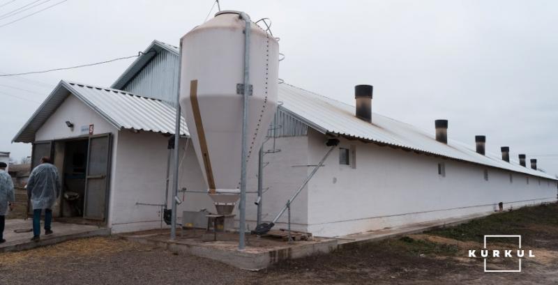 Свинарник ДП «Шевченківське» Свинарник ДП «Шевченківське»