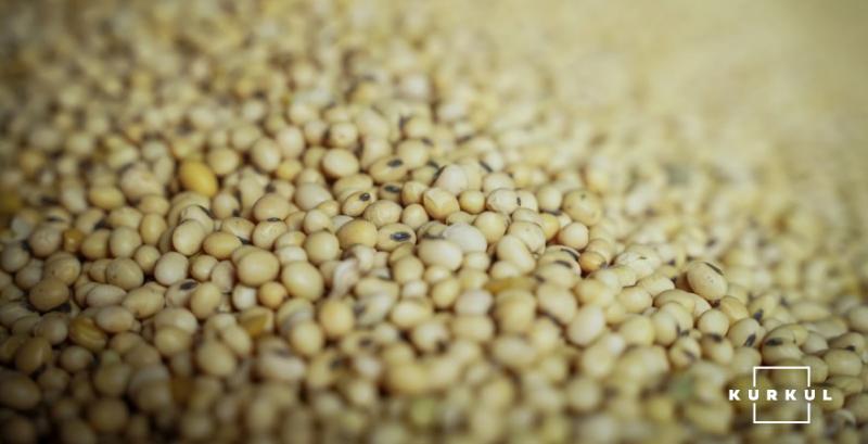 Ціни на сою в Україні ростуть на тлі активного попиту з Китаю