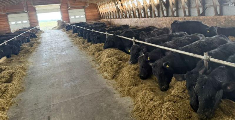 ТзОВ «Меринос-Захід» ТзОВ «Меринос-Захід»