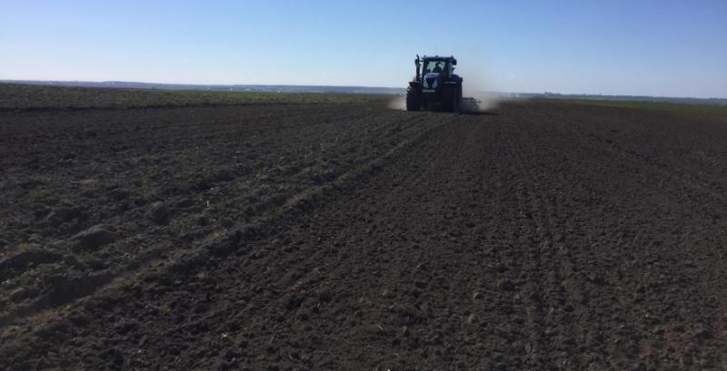 На Сумщині стартувала посівна ярих зернових та соняшника