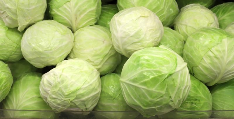 Фермери поспішають розпродати запаси капусти до появи нового врожаю Фермери поспішають розпродати запаси капусти до появи нового врожаю