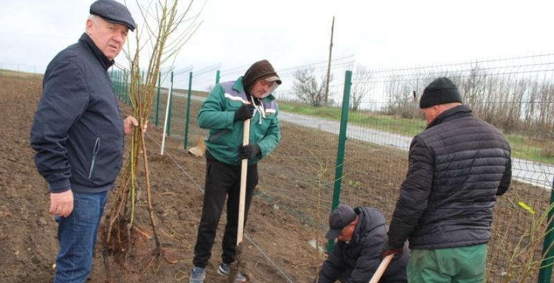 Агрофірма з Вінниччини розпочала закладання виноградної ділянки
