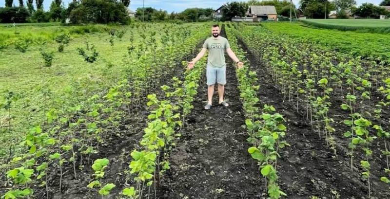Ветеран з Житомирщини розвиває бізнес із вирощування та переробки фундука Ветеран з Житомирщини розвиває бізнес із вирощування та переробки фундука