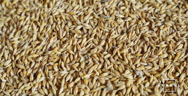 Слабкий попит тисне на ціни ячменю в українських портах Слабкий попит тисне на ціни ячменю в українських портах