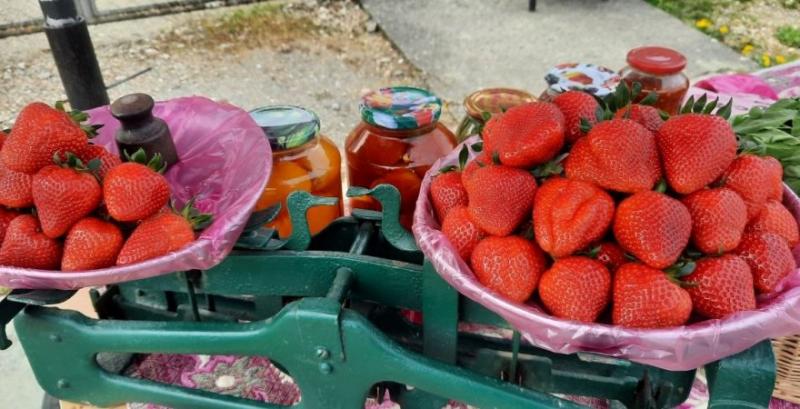 Сезон суниці 2026 стартував із високих цін Сезон суниці 2026 стартував із високих цін