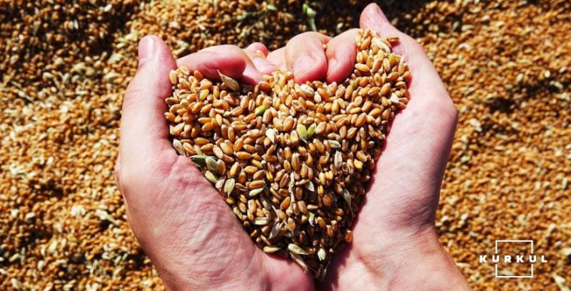 Експортні ціни на пшеницю залишаються стабільними