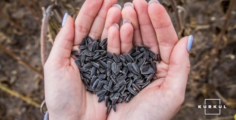 Соняшник продовжує дорожчати