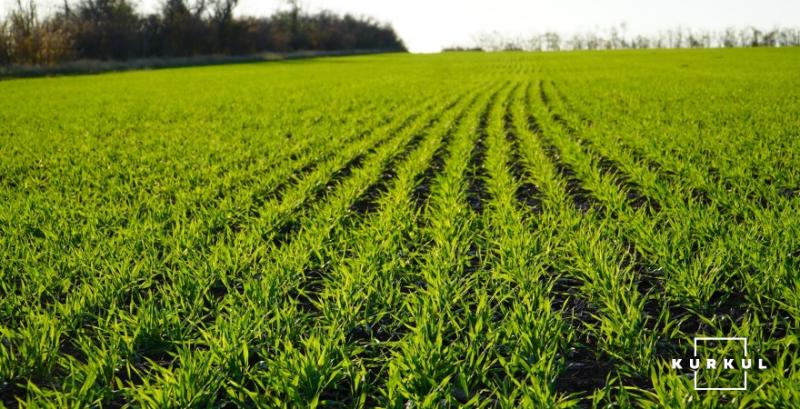 В Україні оновили методику грошової оцінки сільгоспземель