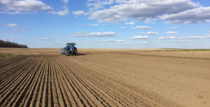 В Україні стартувала посівна гречки, кукурудзу вже сіють у 16 областях