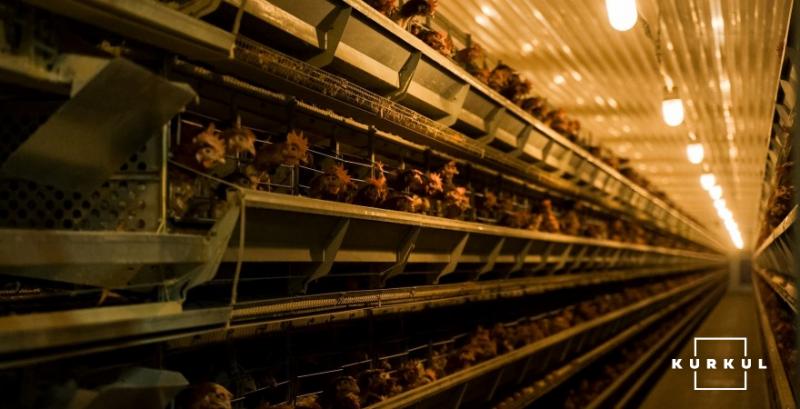 Доступні грантові програми для фермерів у 2026 році 