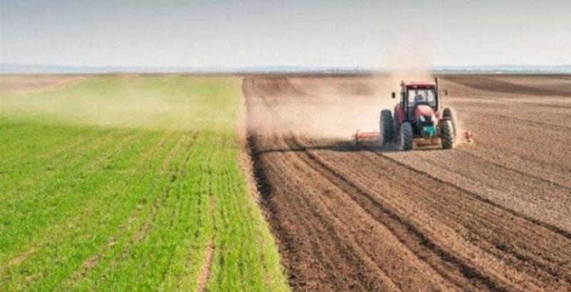 Посівна на Прикарпатті