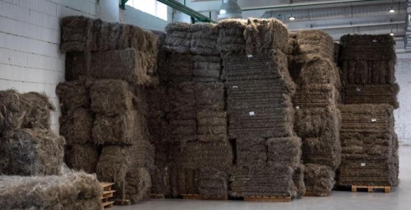 Завод із переробки промислових конопель «Ма'Рижани»