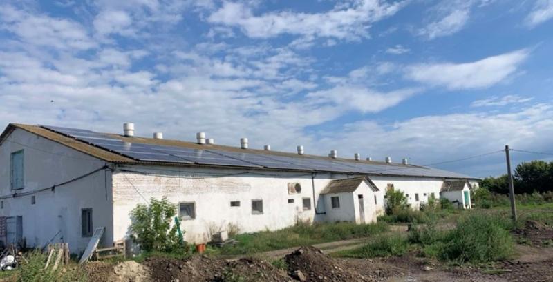 Свиноферма з Тернопільщини інвестувала в енергонезалежність