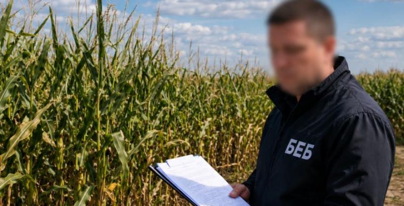 На Волині понад 800 га держземель незаконно засіяли кукурудзою На Волині понад 800 га держземель незаконно засіяли кукурудзою