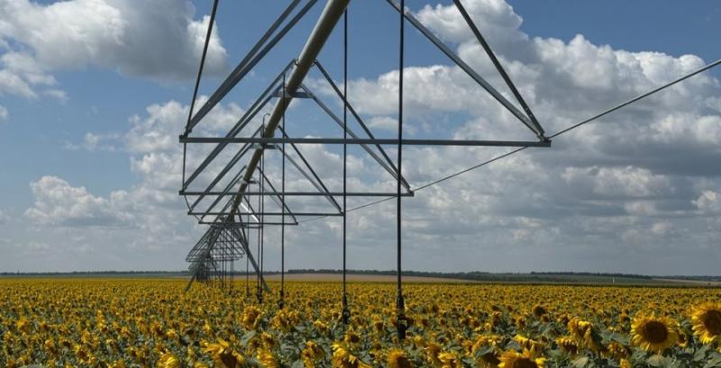 Зрошувальна система в полі соняшник на Кіровоградщині Зрошувальна система в полі соняшник на Кіровоградщині