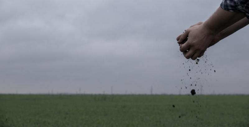 Кількість угод на ринку землі за місяць скоротилася на понад 17% Кількість угод на ринку землі за місяць скоротилася на понад 17%