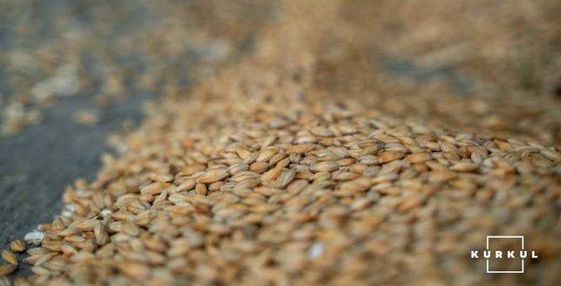 Аграрії не поспішають продавати пшеницю на тлі зниження цін