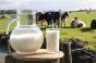 На 11,5 % зросли надої молока на Чернігівщині