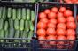 Українські виробники змушені знижувати ціну на тепличні огірки та помідори