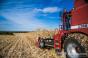 Міністерство сільського господарства США оприлюднило прогнози урожаю зерна в Україні у 2017 ― 2018 МР