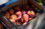 Персики у ящику