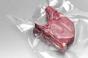 Реальний термін зберігання м'яса у вакуумі вдвічі довший — дослідники