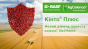 BASF презентувала новий фунгіцидний протруйник для зернових Кінто® Плюс
