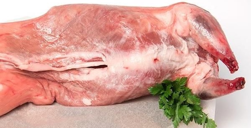 Тушка нутрії