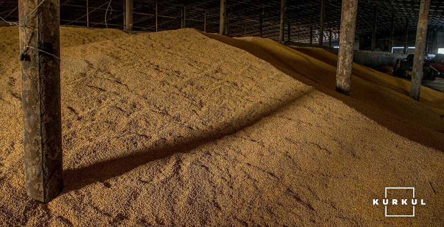 Підлоговий склад ФГ «Строганівське» з насінням кукурудзи