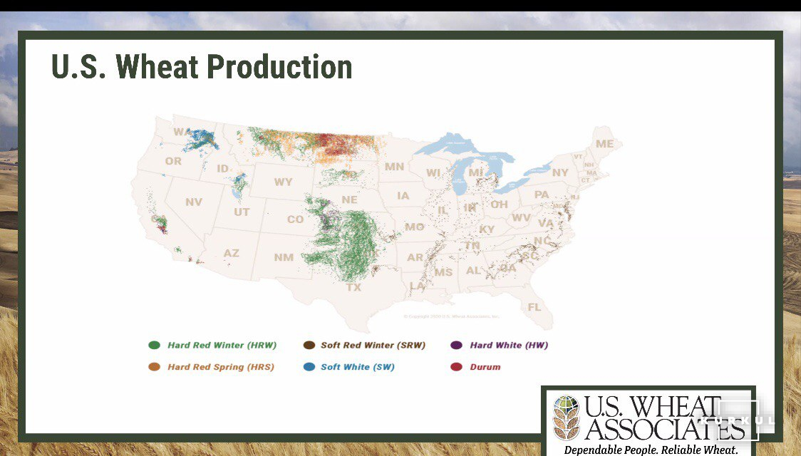 Вирощування пшениці у США