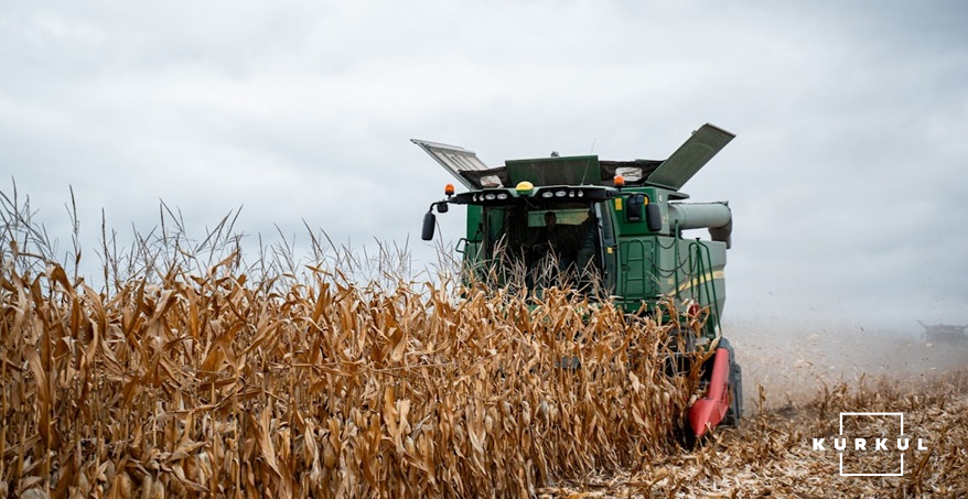 Збір кукурудзи