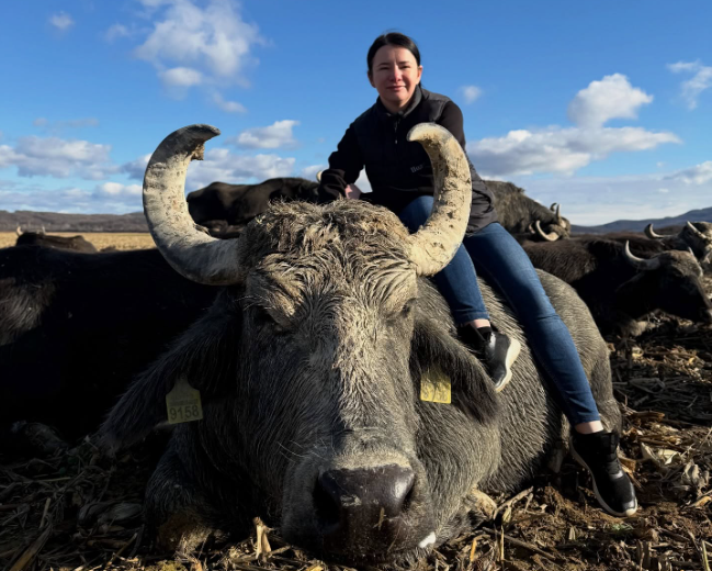 Інна Левдар, керівниця буйволиної ферми